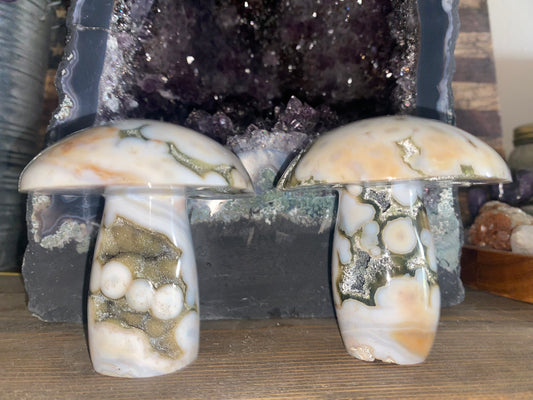 Custom Listing for Kaitlyn Lee